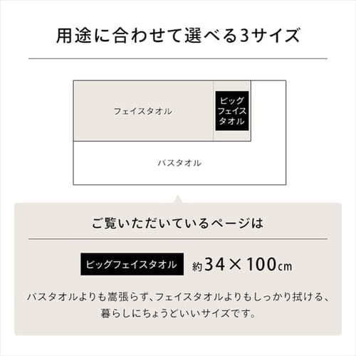 ビッグフェイスタオル2枚セット BFT-2 アイボリー