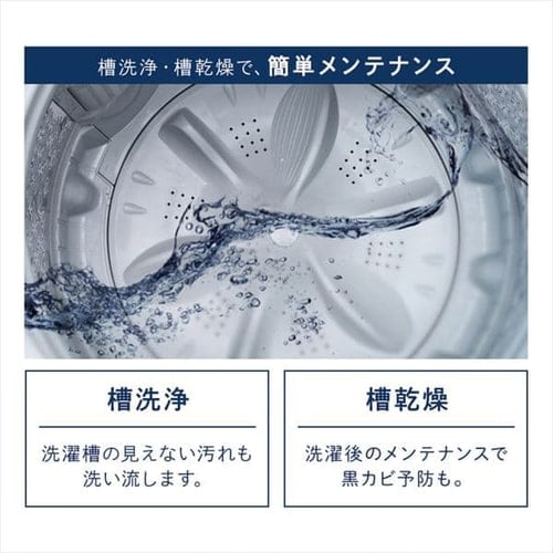 洗濯機 10.0kg 洗剤自動投入 IAW-T1001