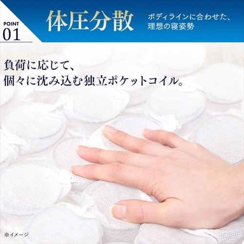 マットレス ダブル ポケットコイル 厚さ20㎝ Sheep