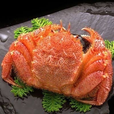 北海道産　海産物カニプラン