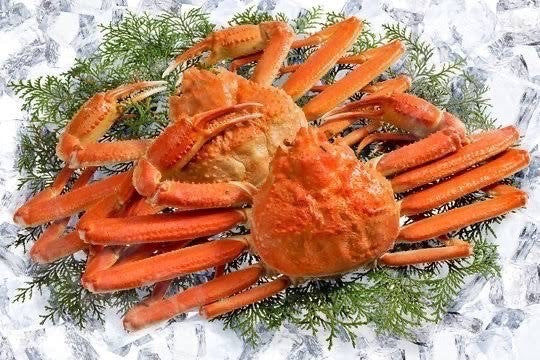 北海道産　海産物王道プラン