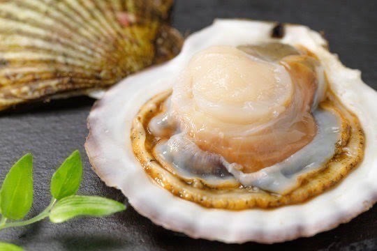 北海道産　海産物セット⑤