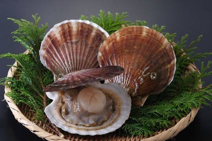 北海道産　海産物カニプラン