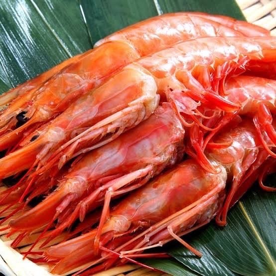 北海道産　海産物王道プラン
