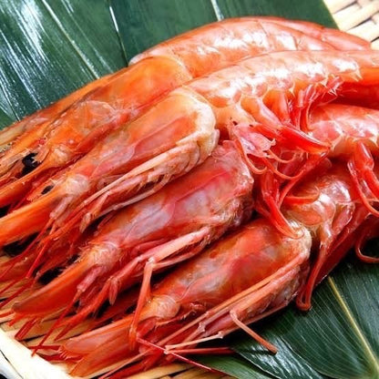 北海道産　海産物王道プラン